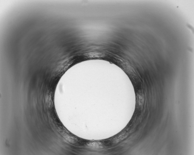 X0000093360422200711081519