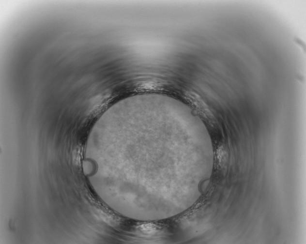 X0000093360423200711081519