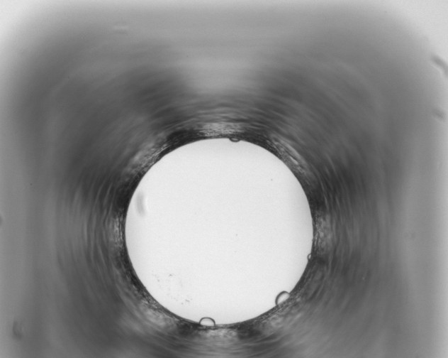 X0000093360426200711081519