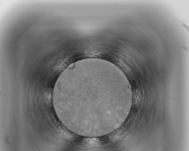 X0000093360427200711081519