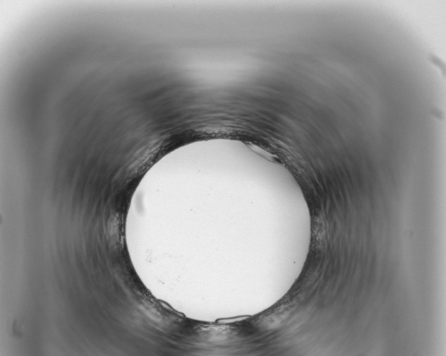 X0000093360428200711081519