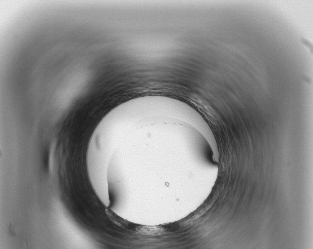 X0000093360429200711081518