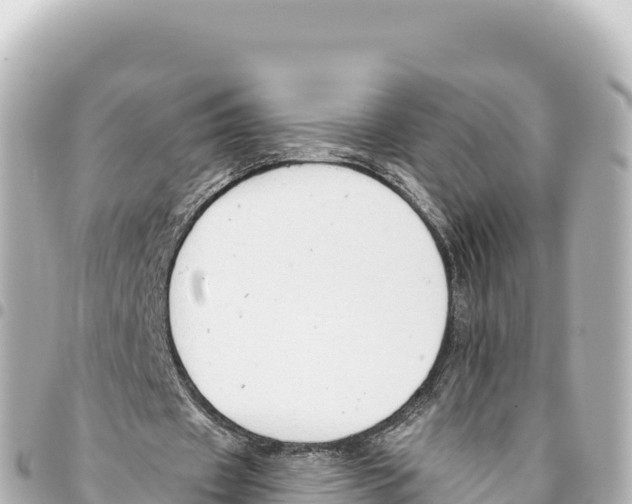 X0000093360433200711081518