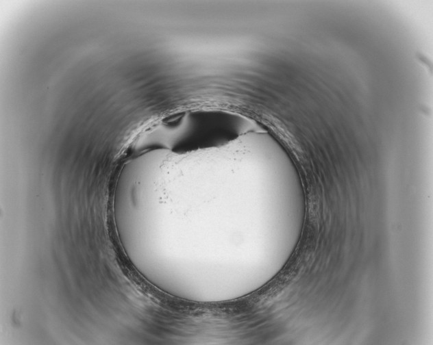 X0000093360434200711081518