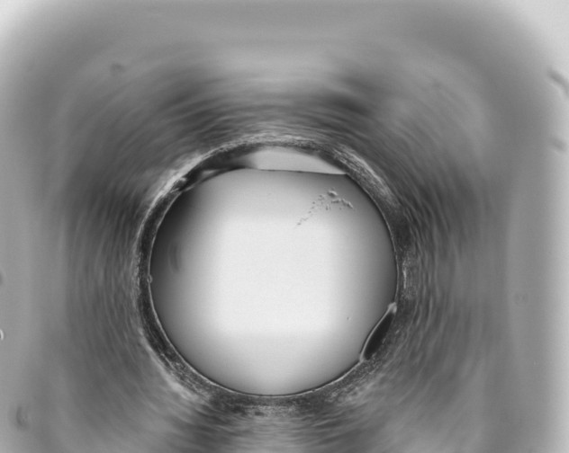 X0000093360436200711081518