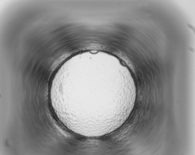 X0000093360437200711081518