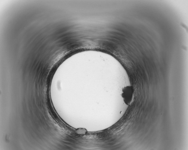 X0000093360440200711081518