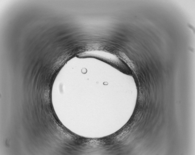 X0000093360441200711081518