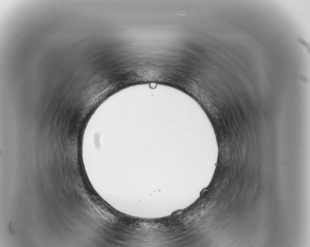 X0000093360442200711081518