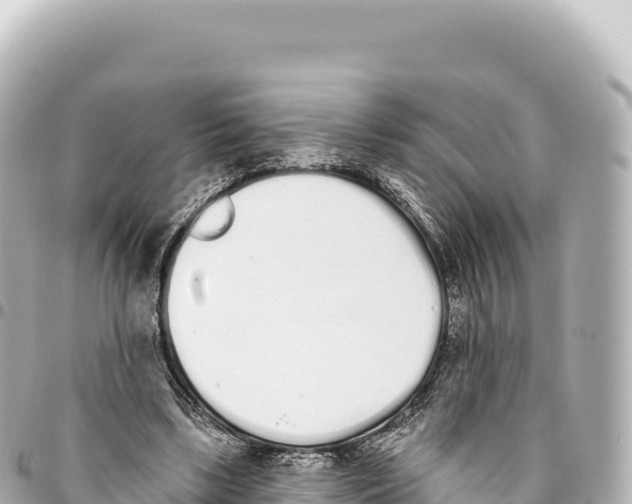 X0000093360443200711081518