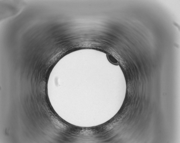 X0000093360445200711081518