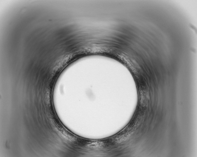 X0000093360447200711081518