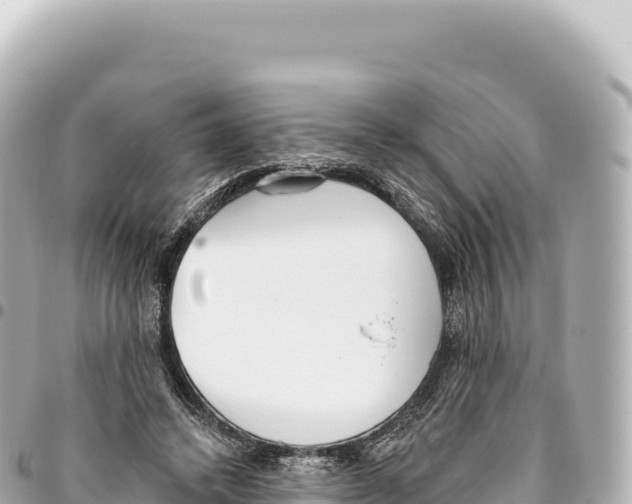 X0000093360448200711081518