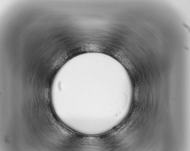 X0000093360449200711081518