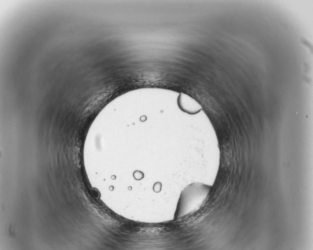X0000093360450200711081518