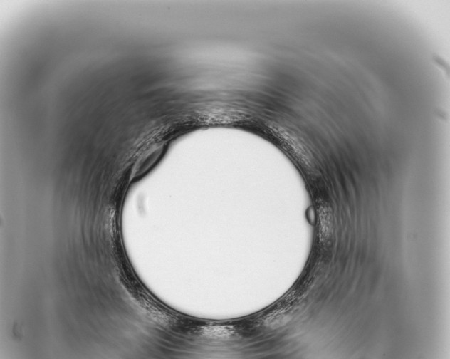 X0000093360451200711081518