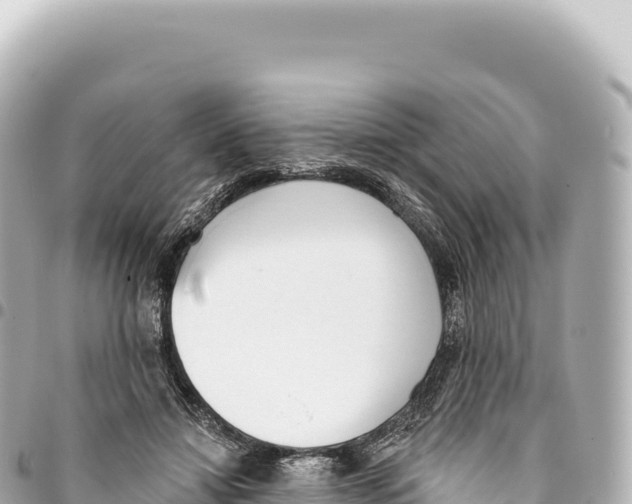X0000093360452200711081518