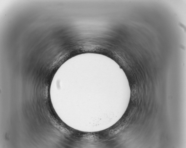X0000093360454200711081518