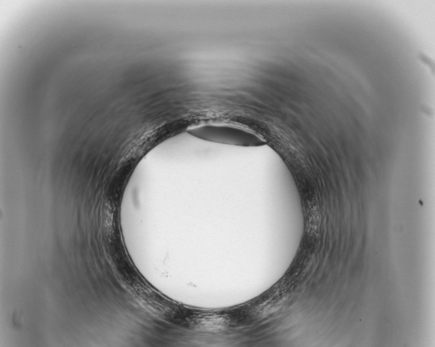 X0000093360456200711081518