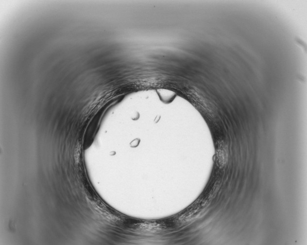 X0000093360458200711081518