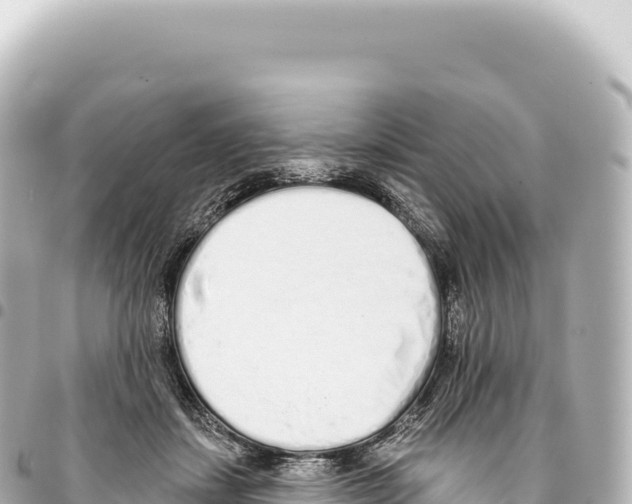 X0000093360459200711081518