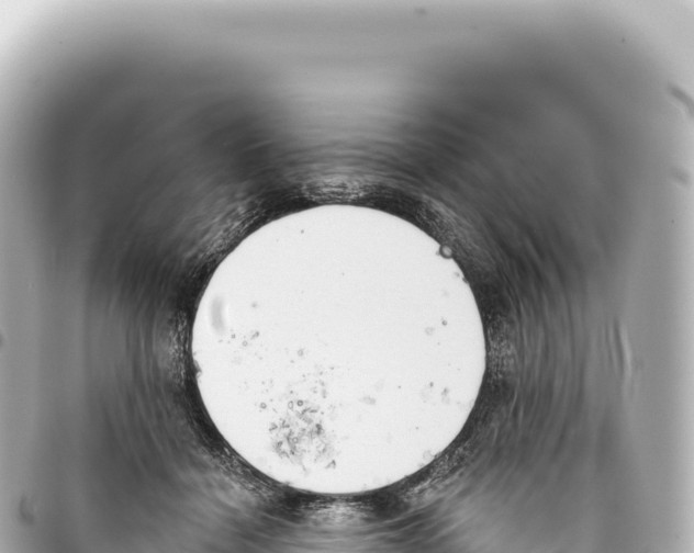 X0000093360460200711081518