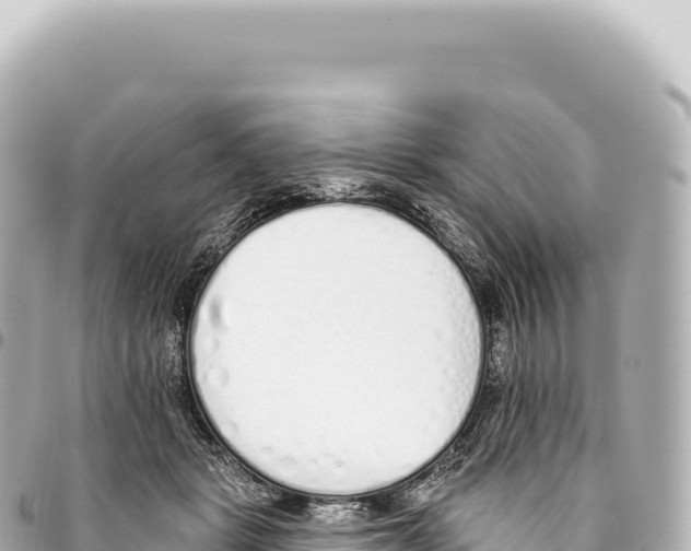X0000093360461200711081518