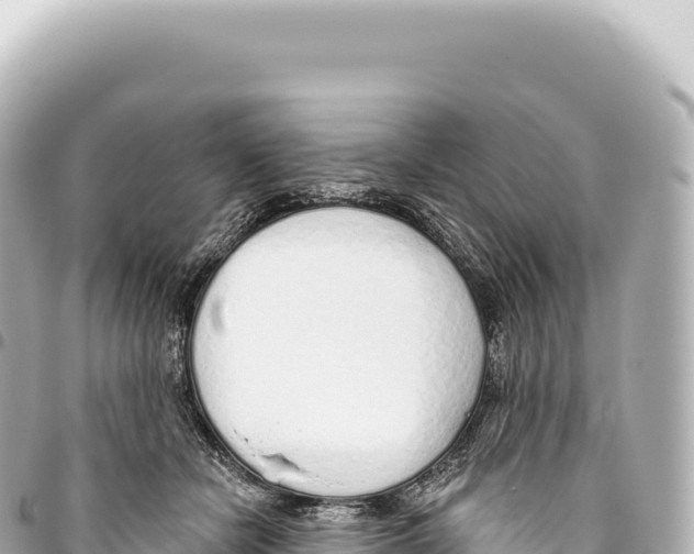 X0000093360462200711081518