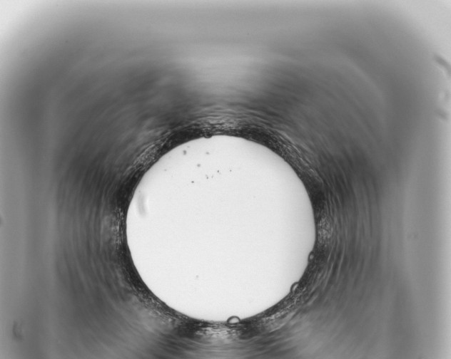 X0000093360464200711081518