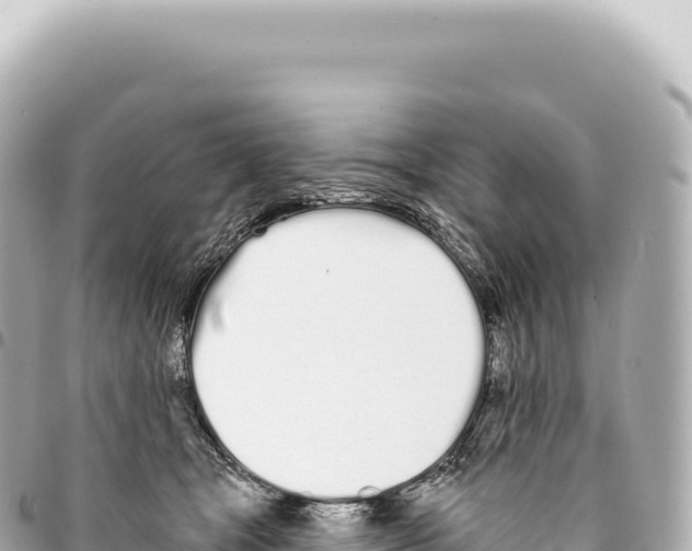 X0000093360465200711081518