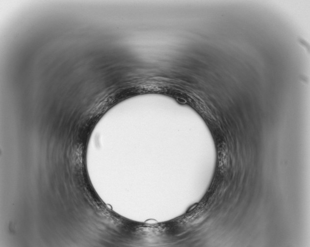 X0000093360466200711081518