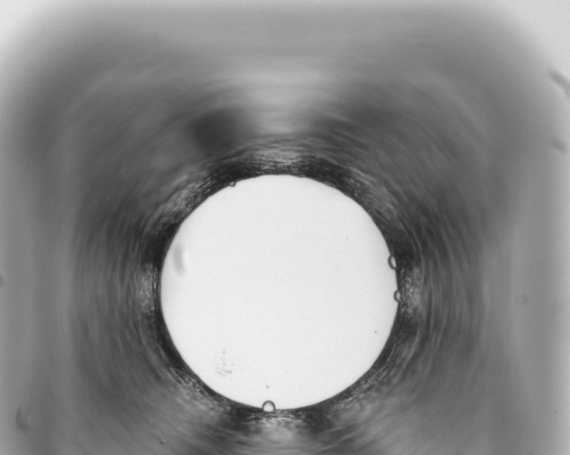 X0000093360468200711081518