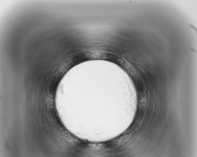 X0000093360469200711081518