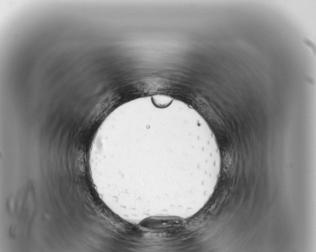 X0000093360470200711081518