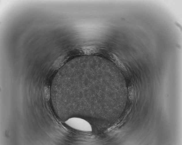 X0000093360471200711081518