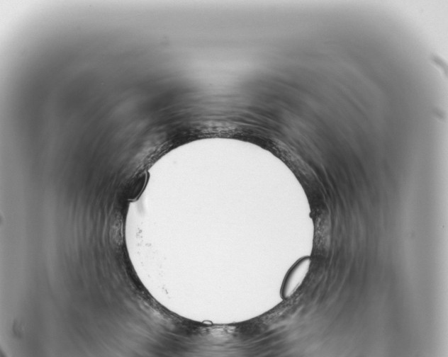 X0000093360474200711081518