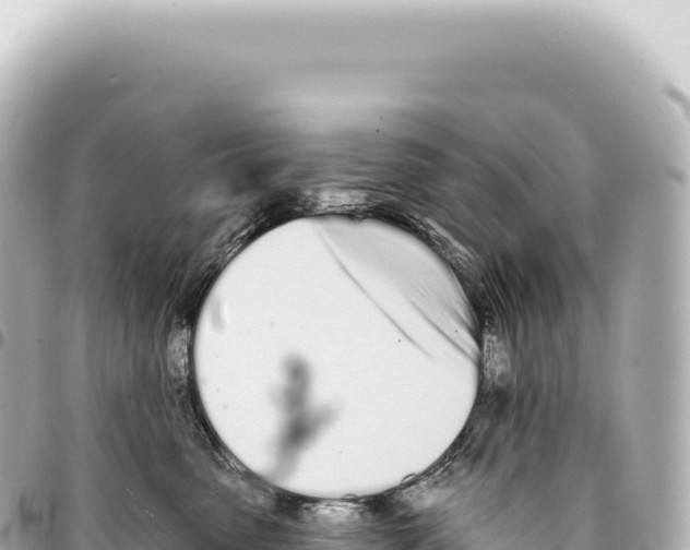 X0000093360475200711081518