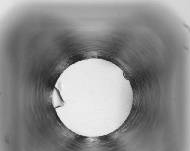 X0000093360477200711081518