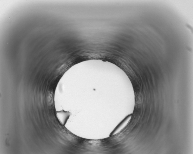X0000093360478200711081518