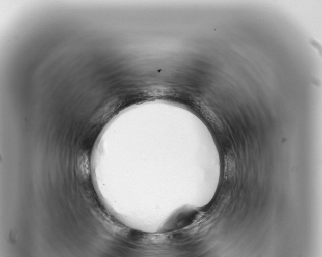 X0000093360479200711081518