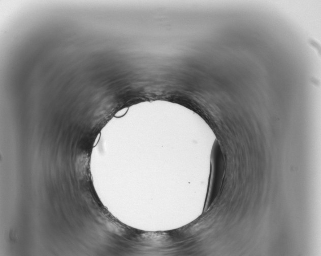 X0000093360480200711081518