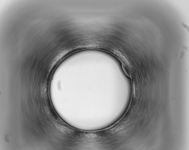 X0000093360483200711081518