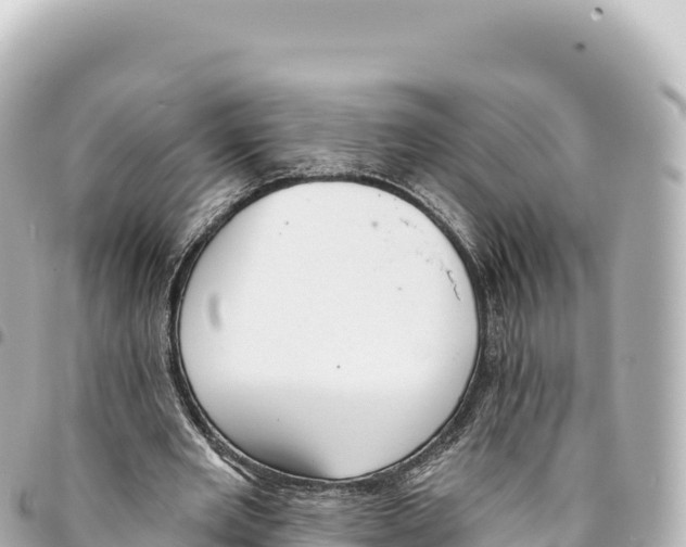 X0000093360485200711081518
