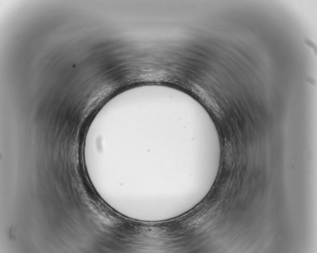 X0000093360486200711081518