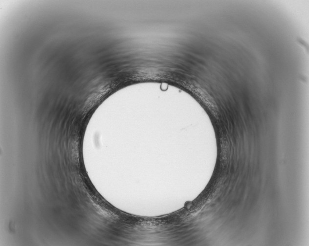 X0000093360489200711081518