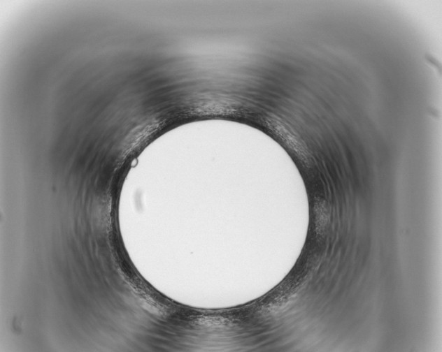 X0000093360490200711081518