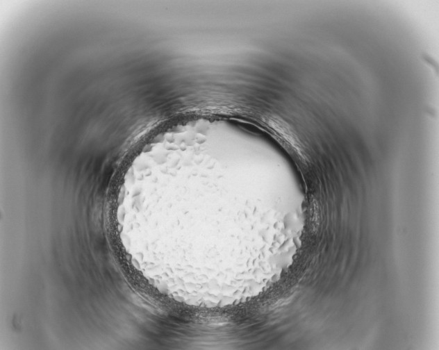 X0000093360491200711081518