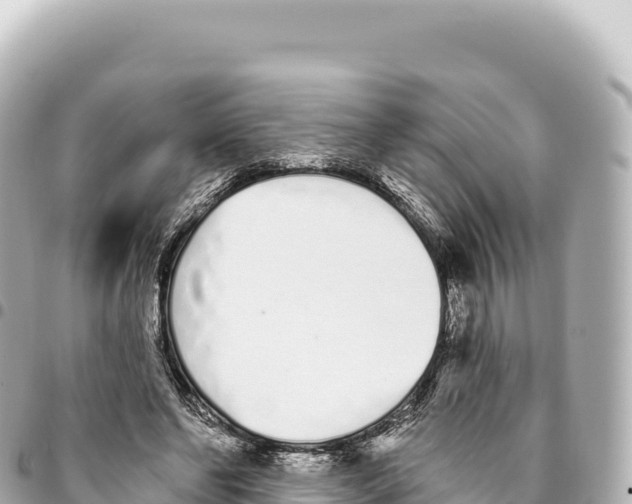X0000093360494200711081518