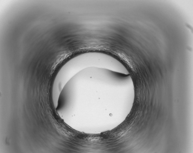 X0000093360495200711081518