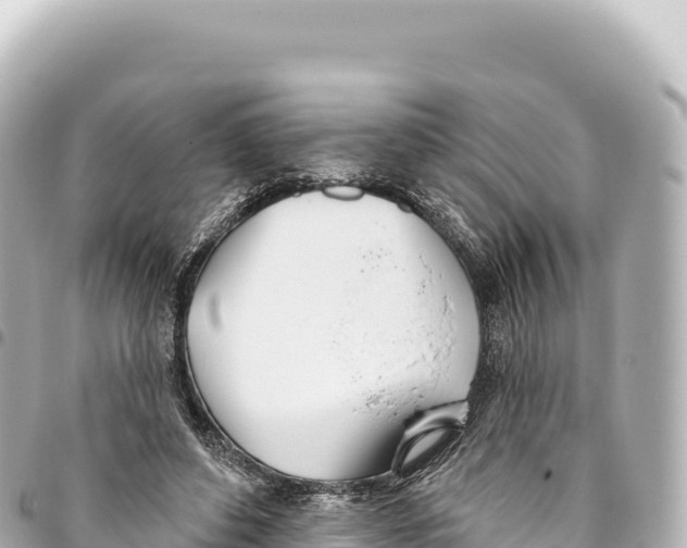 X0000093360496200711081518